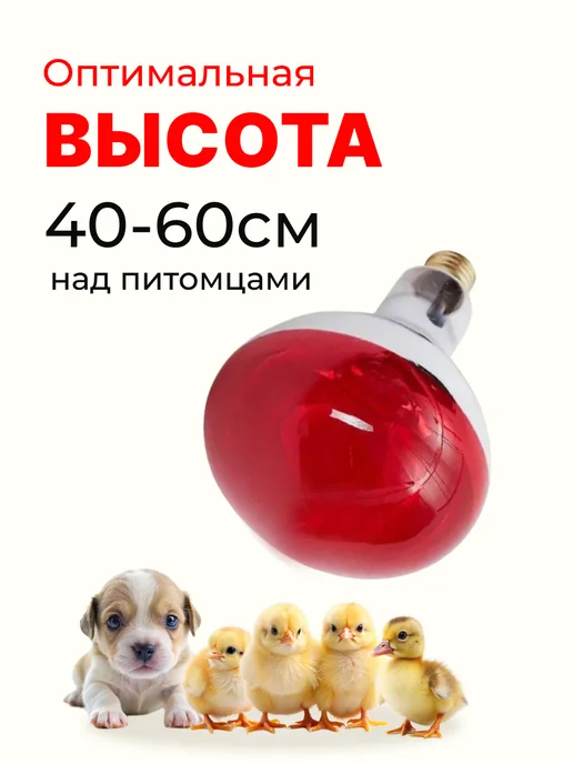 Magic Light Инфракрасная лампа для обогрева птиц и животных 250вт, 150 Вт, фото 3