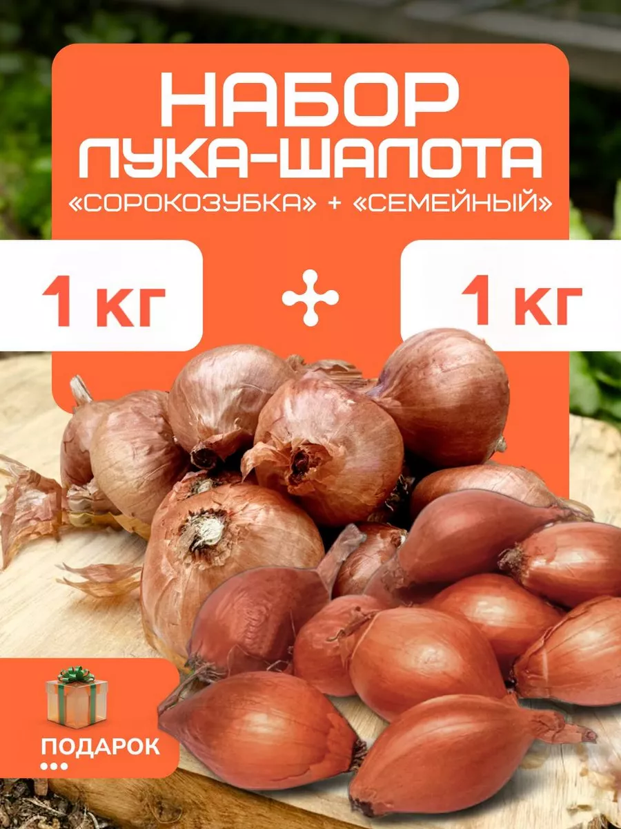 Набор лук-шалот...