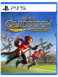 Игра Harry Potter Quidditch Champions для PS4 PS5