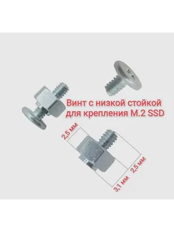 Винт с низкой стойкой для крепления M 2 SSD 1 комплект 261438874 купить за 151 ₽ в интернет-магазине Wildberries