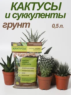 Грунт для кактусов и суккулентов Сады Аурики 261502766 купить за 146 ₽ в интернет-магазине Wildberries