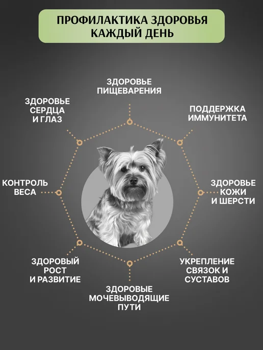 Сухой корм PREMIER Dog для собак, мелкие, индейка, ягненок, 1,15 кг, фото 4