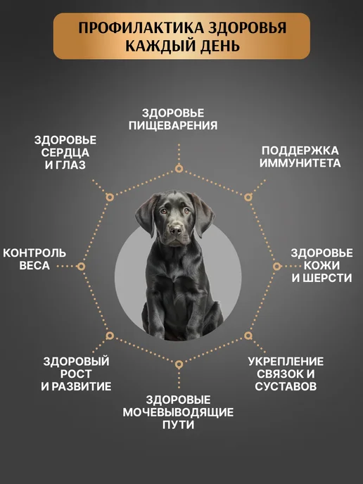 Сухой корм PREMIER Dog для собак, крупные, средние, щенки, индейка, 10,2 кг, фото 4