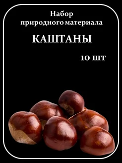 Каштаны 10 штук