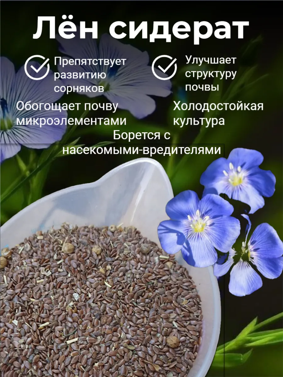 Жігіттерге арналған порнографиялық ресейлік қыздар