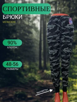 Мужские спортивные штаны брюки Барокот 261794704 купить за 522 ₽ в интернет‑магазине Wildberries
