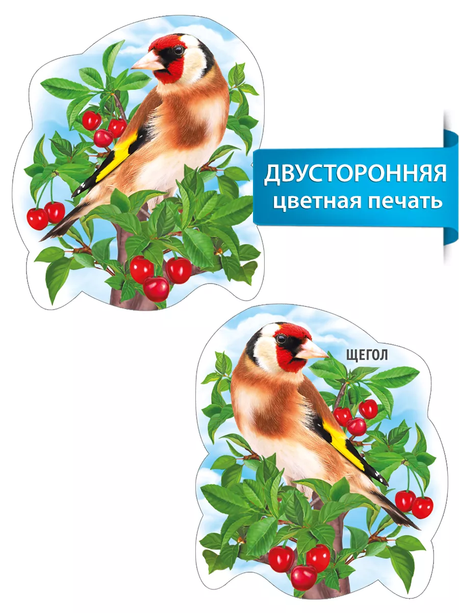 Плакат вырубной для детей Птицы
