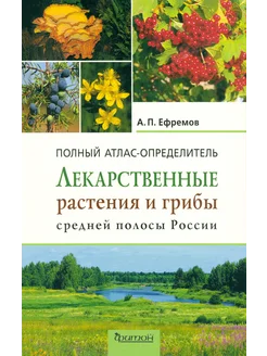 Лекарственные растения и грибы средней полосы России. Атлас