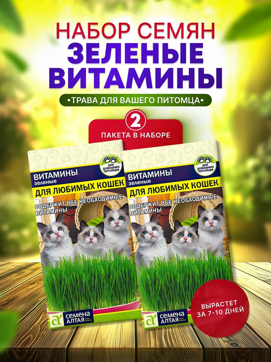 Набор семян травы для питомца- кошек, для проращивания