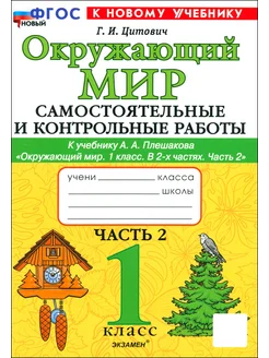 Окружающий мир. 1 класс. Самостоятельные работы. Часть 2