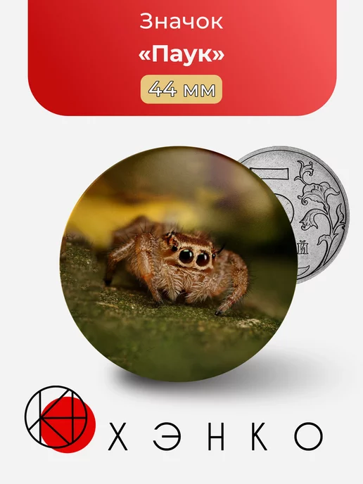 Паук