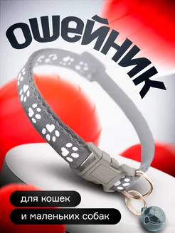 Ошейник для кошек и собак Пушистый Парадокс 261957572 купить за 144 ₽ в интернет-магазине Wildberries