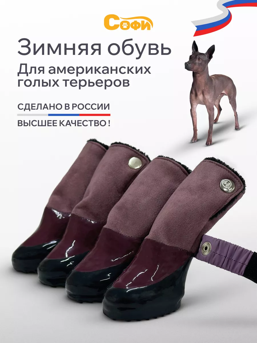 Обувь для пуделей и АГТ зимние