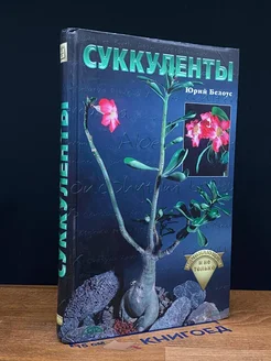 Суккуленты начинающим и не только СКИФ 262125952 купить за 754 ₽ в интернет-магазине Wildberries