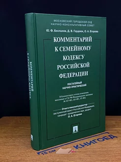 Комментарий к Семейному кодексу РФ