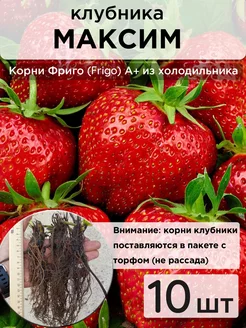 Интернет-магазин Wildberries: широкий ассортимент товаров - скидки каждый день!