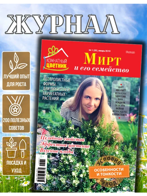 Цветок Журнал цветовода №1 19. Мирт, вариант