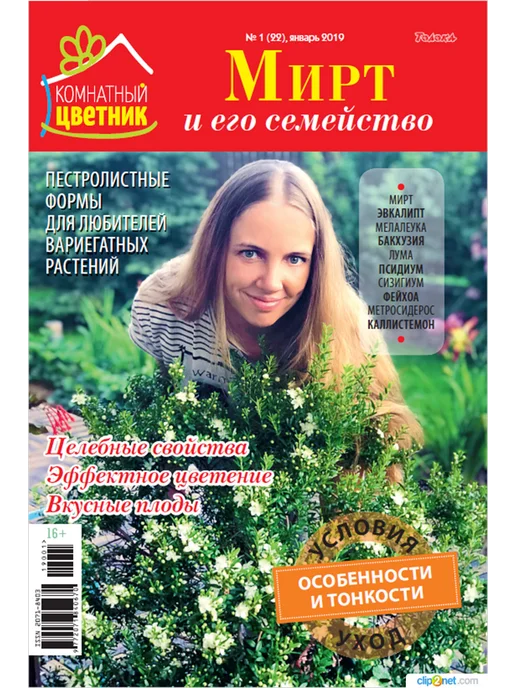 Цветок Журнал цветовода №1 19. Мирт, вариант, фото 2