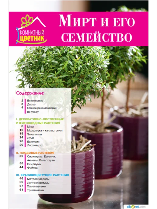 Цветок Журнал цветовода №1 19. Мирт, вариант, фото 3
